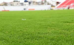 Mặt sân bóng đá sử dụng cỏ bermuda